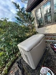 Standby generator installed among landscaping bushes beside a home.